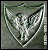 eagle, shield